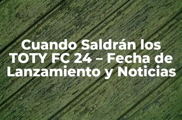 Cuando Saldrán los Toty Fc 24 – Fecha de Lanzamiento y Noticias