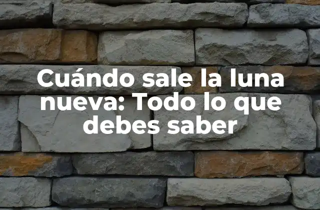 Cuándo Sale la Luna Nueva: Todo Lo que Debes Saber