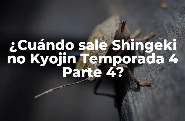 ¿cuándo Sale Shingeki No Kyojin Temporada 4 Parte 4?
