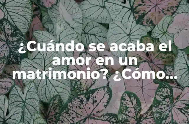 ¿cuándo Se Acaba el Amor en un Matrimonio? ¿cómo Saber Si Ya No Hay Amor?