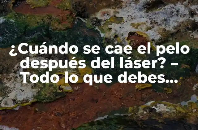 ¿cuándo Se Cae el Pelo Después Del Láser? – Todo Lo que Debes Saber