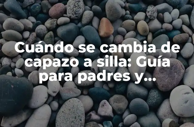 Cuándo Se Cambia de Capazo a Silla: Guía para Padres y Cuidadores