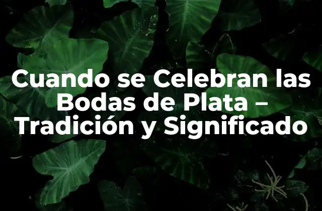 Cuando Se Celebran las Bodas de Plata – Tradición y Significado