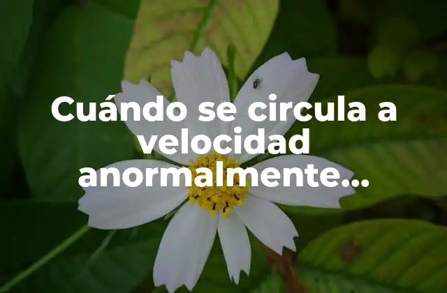 Cuándo Se Circula a Velocidad Anormalmente Reducida: Todo Lo que Debes Saber