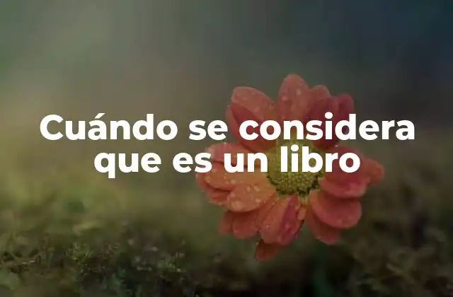 Cuándo Se Considera que es un Libro