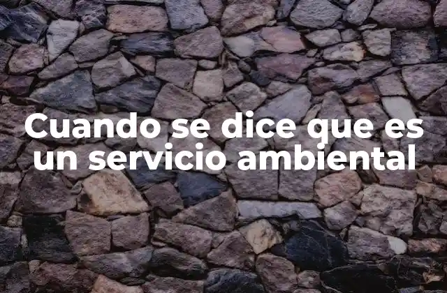 Cuando Se Dice que es un Servicio Ambiental 2 Los servicios ambientales y su relación con la sostenibilidad