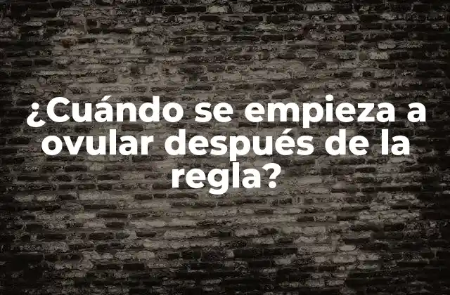 ¿cuándo Se Empieza a Ovular Después de la Regla?