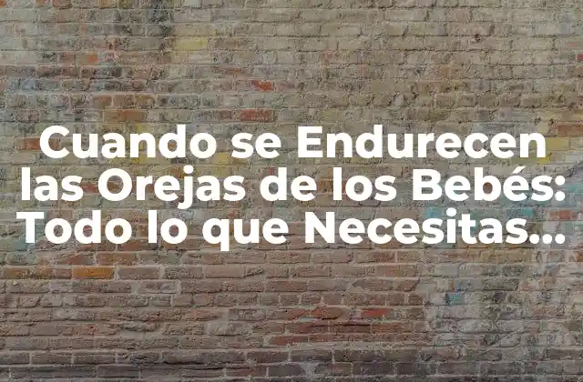Cuando Se Endurecen las Orejas de los Bebés: Todo Lo que Necesitas Saber