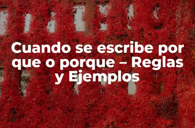 Cuando Se Escribe por que o Porque – Reglas y Ejemplos