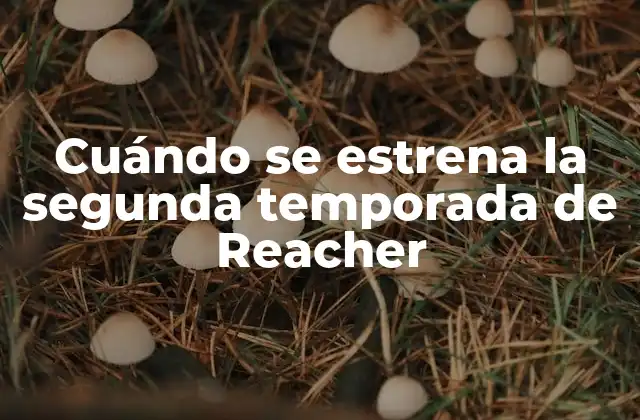 ¿Cuál es el argumento de la segunda temporada de Reacher?