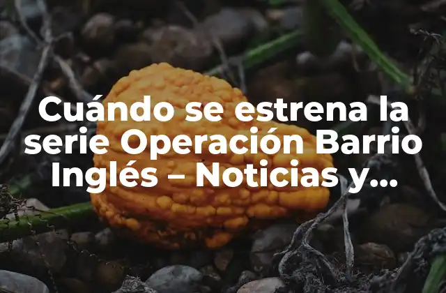 Cuándo Se Estrena la Serie Operación Barrio Inglés – Noticias y Fechas de Lanzamiento