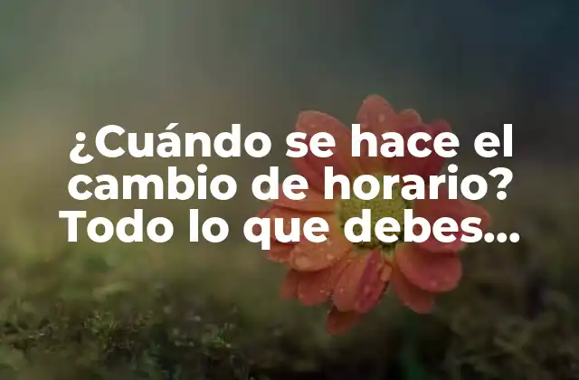 ¿cuándo Se Hace el Cambio de Horario? Todo Lo que Debes Saber sobre el Horario de Verano