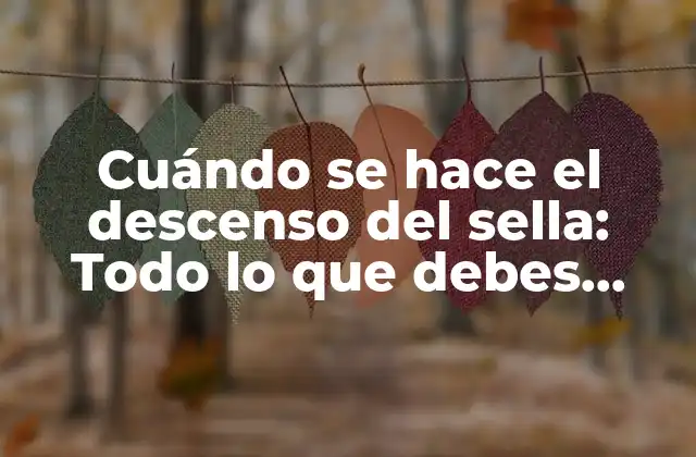 Cuándo Se Hace el Descenso Del Sella: Todo Lo que Debes Saber