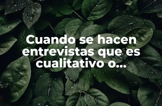 Cuando Se Hacen Entrevistas que es Cualitativo o Cuantitativo