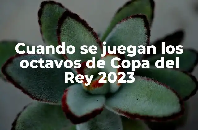 Cuando Se Juegan los Octavos de Copa Del Rey 2023