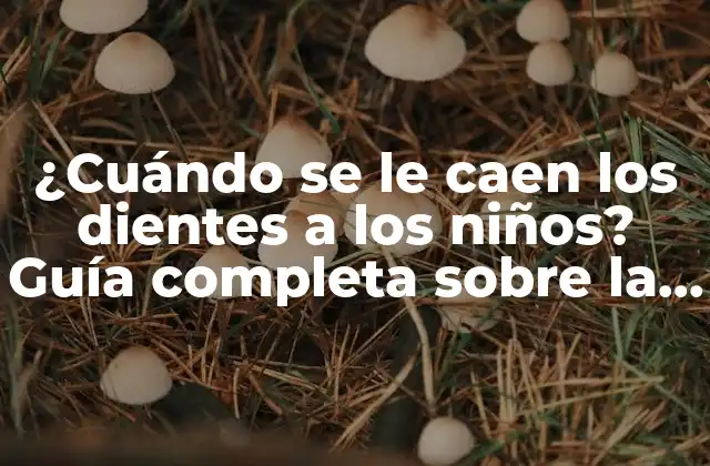 ¿cuándo Se Le Caen los Dientes a los Niños? Guía Completa sobre la Pérdida de Dientes en la Infancia