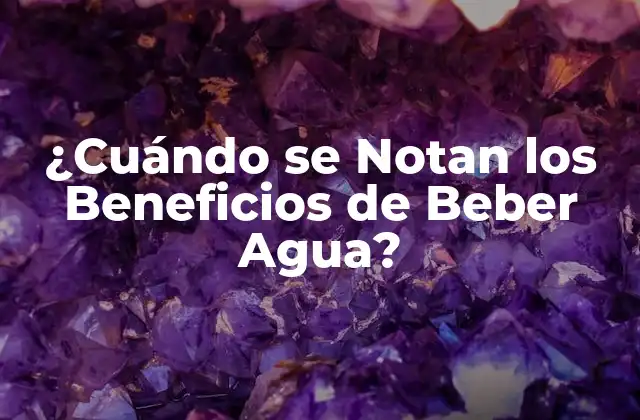 ¿cuándo Se Notan los Beneficios de Beber Agua? 2 La Importancia de la Hidratación para Nuestro Cuerpo