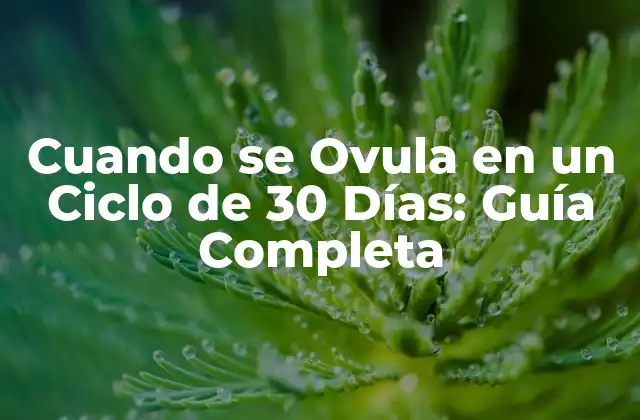 Cuando Se Ovula en un Ciclo de 30 Días: Guía Completa 2 ¿Cuál es el Propósito de la Ovulación?