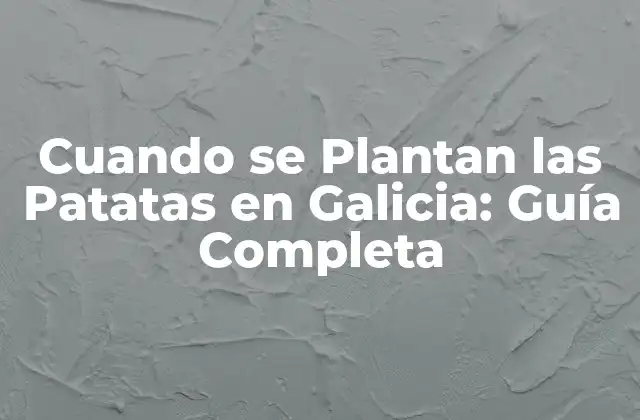 Cuando Se Plantan las Patatas en Galicia: Guía Completa 2 Importancia de la Plantación de Patatas en Galicia
