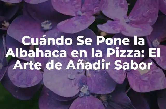Cuándo Se Pone la Albahaca en la Pizza: el Arte de Añadir Sabor