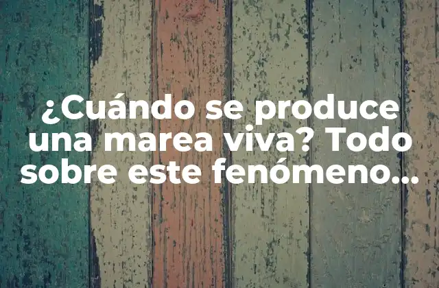 ¿cuándo Se Produce una Marea Viva? Todo sobre Este Fenómeno Oceánico