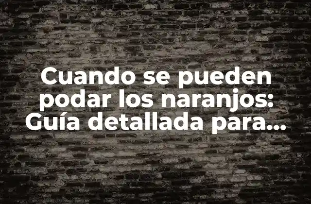 Cuando Se Pueden Podar los Naranjos: Guía Detallada para Cultivar Naranjos Saludables