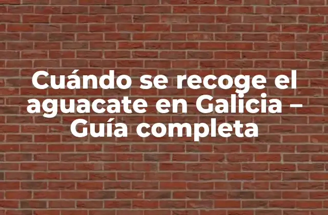 Cuándo Se Recoge el Aguacate en Galicia – Guía Completa