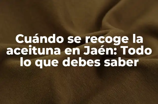 Cuándo Se Recoge la Aceituna en Jaén: Todo Lo que Debes Saber
