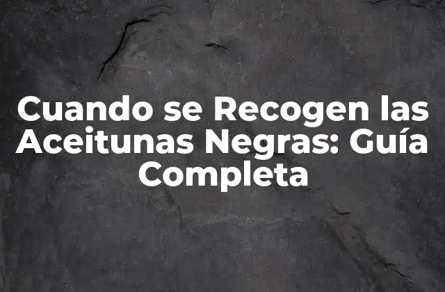 ¿Cuál es la Temporada de Recolección de Aceitunas Negras?