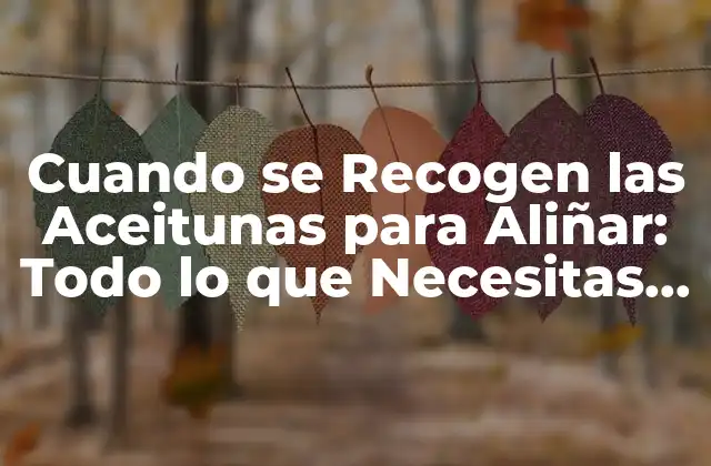Cuando Se Recogen las Aceitunas para Aliñar: Todo Lo que Necesitas Saber
