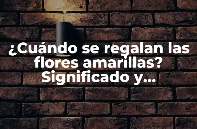 ¿cuándo Se Regalan las Flores Amarillas? Significado y Tradiciones