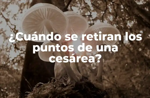 ¿cuándo Se Retiran los Puntos de una Cesárea?