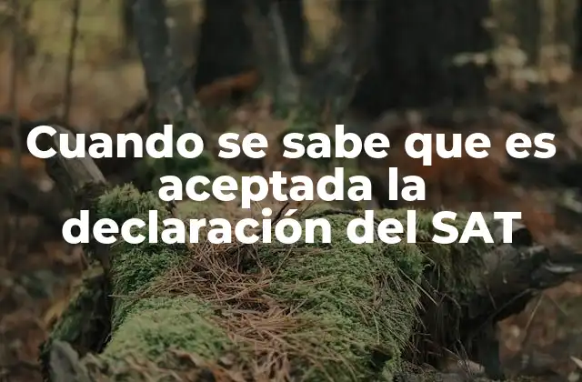 Cuando Se Sabe que es Aceptada la Declaración Del Sat