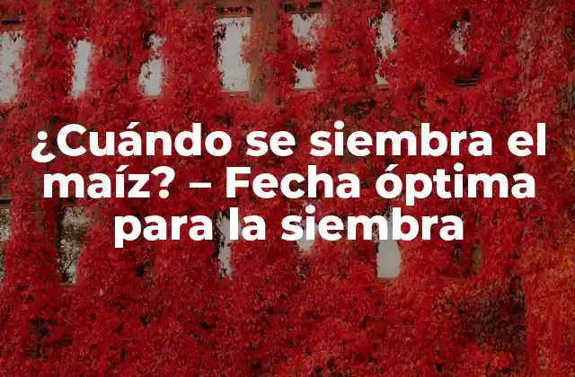 ¿cuándo Se Siembra el Maíz? – Fecha Óptima para la Siembra