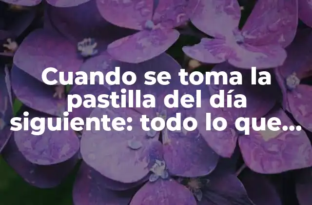 Cuando Se Toma la Pastilla Del Día Siguiente: Todo Lo que Debes Saber
