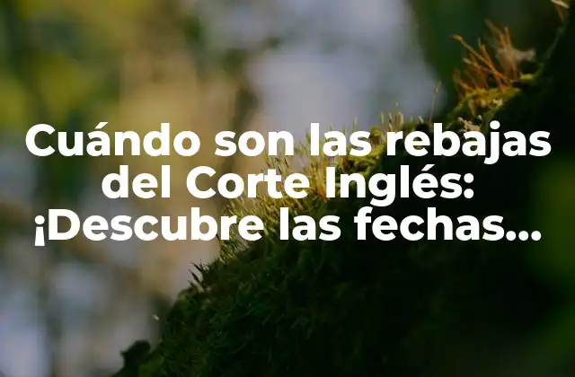Cuándo Son las Rebajas Del Corte Inglés: ¡descubre las Fechas Exactas!