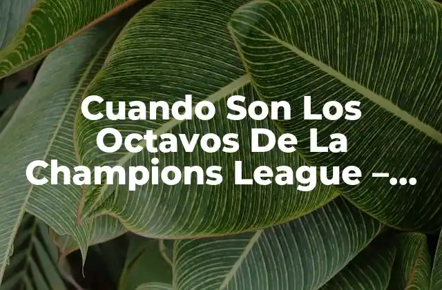 Cuando Son los Octavos de la Champions League – Fecha, Horarios y Equipos