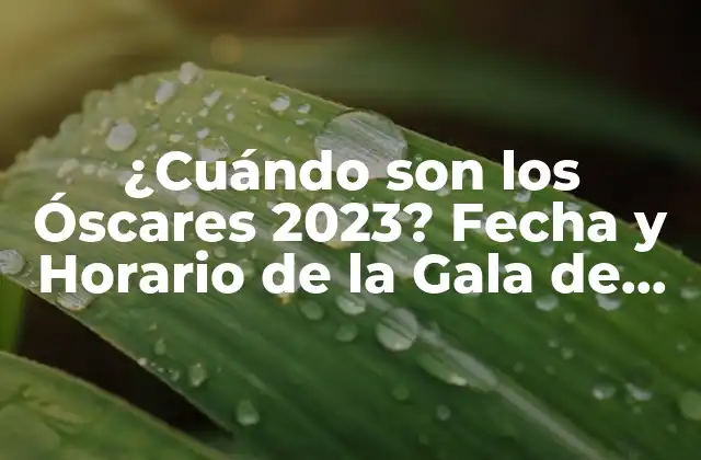 ¿cuándo Son los Óscares 2023? Fecha y Horario de la Gala de los Premios Óscar