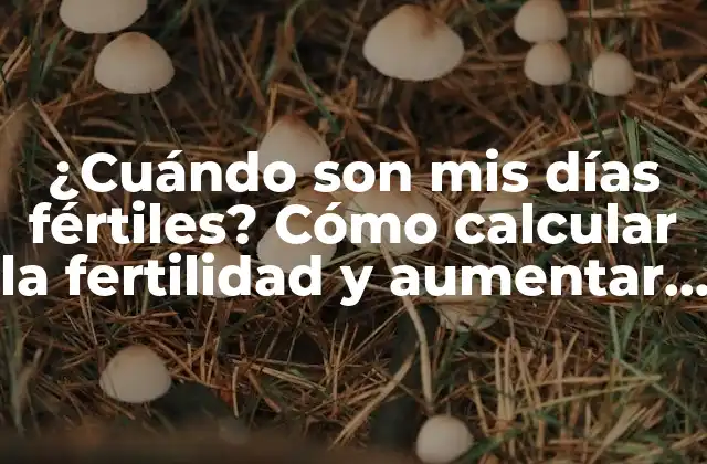 ¿cuándo Son Mis Días Fértiles? Cómo Calcular la Fertilidad y Aumentar las Posibilidades de Concepción