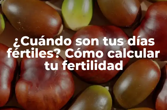 ¿Qué es la fertilidad y por qué es importante?
