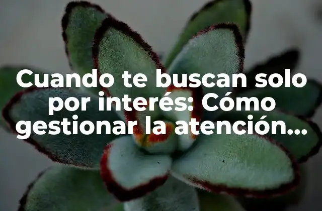 Cuando Te Buscan Solo por Interés: Cómo Gestionar la Atención No Correspondida