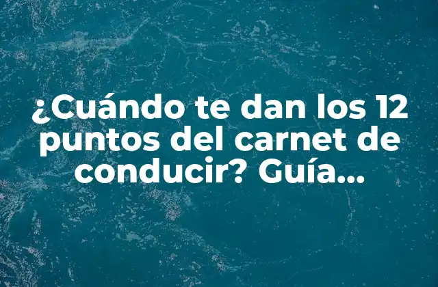 ¿cuándo Te Dan los 12 Puntos Del Carnet de Conducir? Guía Completa sobre el Sistema de Puntos en España
