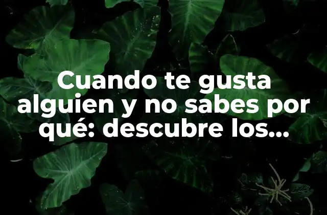 Cuando Te Gusta Alguien y No Sabes por Qué: Descubre los Motivos Detrás de Tus Sentimientos