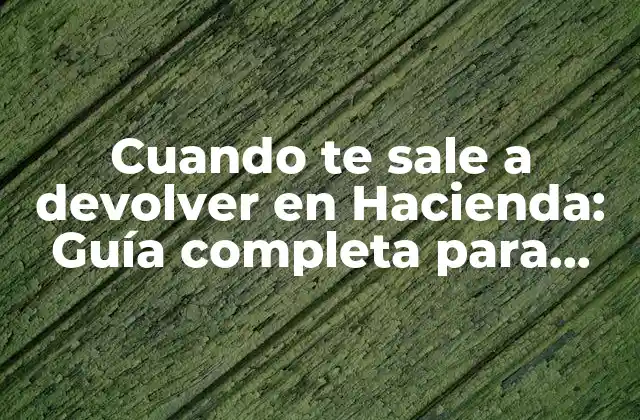 ¿Qué significa cuando te sale a devolver en Hacienda?
