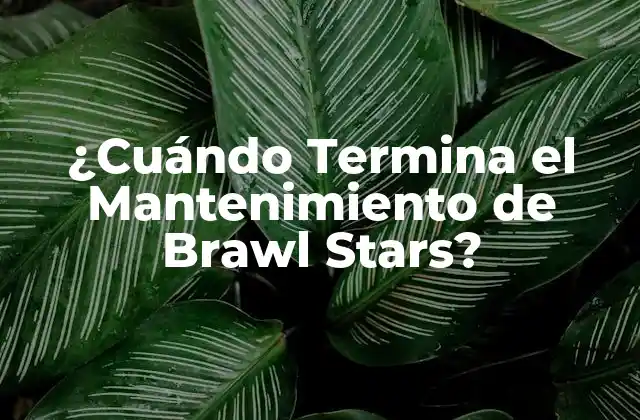 ¿Por qué es necesario el mantenimiento en Brawl Stars?
