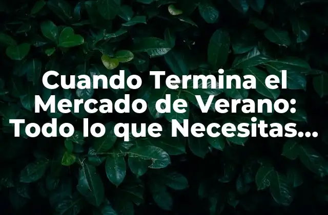 Cuando Termina el Mercado de Verano: Todo Lo que Necesitas Saber 2 ¿Qué es el Mercado de Verano?