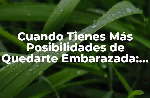 Cuando Tienes Más Posibilidades de Quedarte Embarazada: Todo Lo que Necesitas Saber