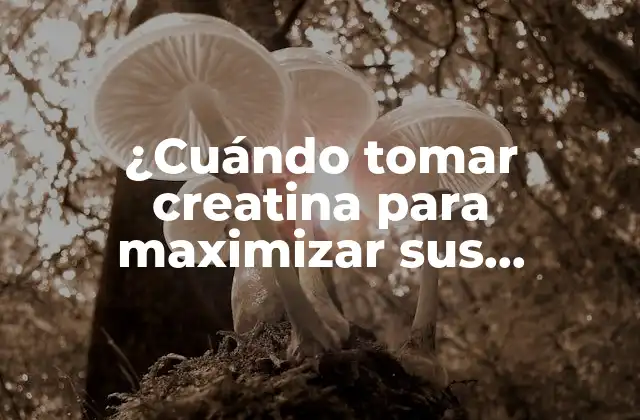 ¿Qué es la creatina y cómo funciona?