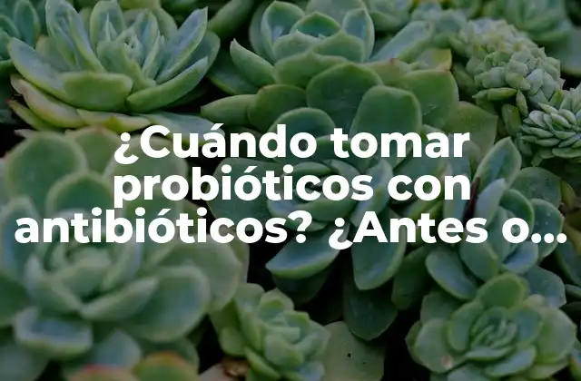 Cómo funcionan los antibióticos
