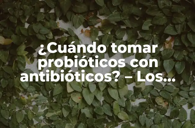 ¿cuándo Tomar Probióticos con Antibióticos? – los Probióticos Se Toman Antes o Después Del Antibiótico